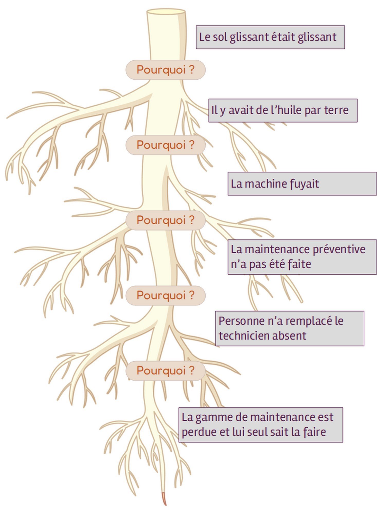 5 pourquoi